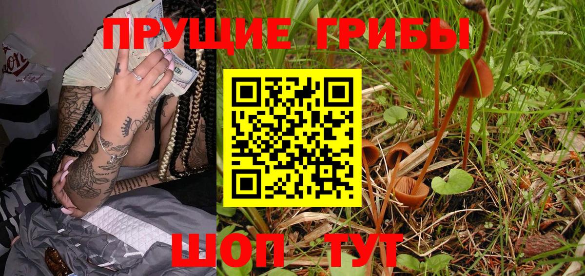 Галлюциногенные грибы Psilocybe  где купить   Чусовой  Вход с VPN 